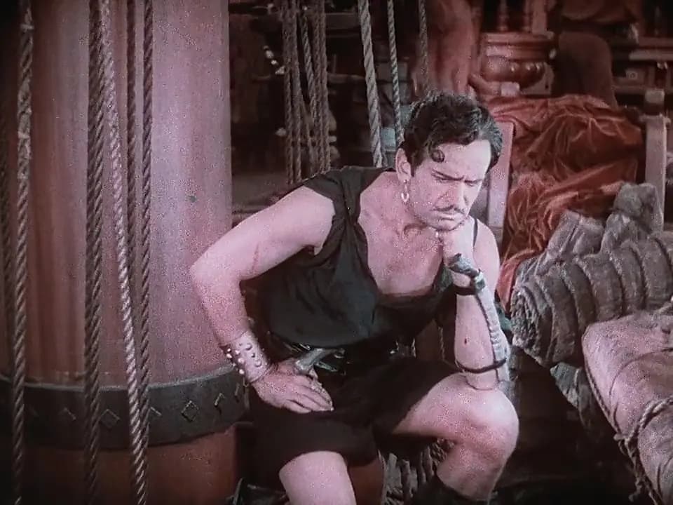 The Black Pirate photo