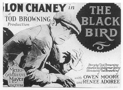 The Blackbird photo