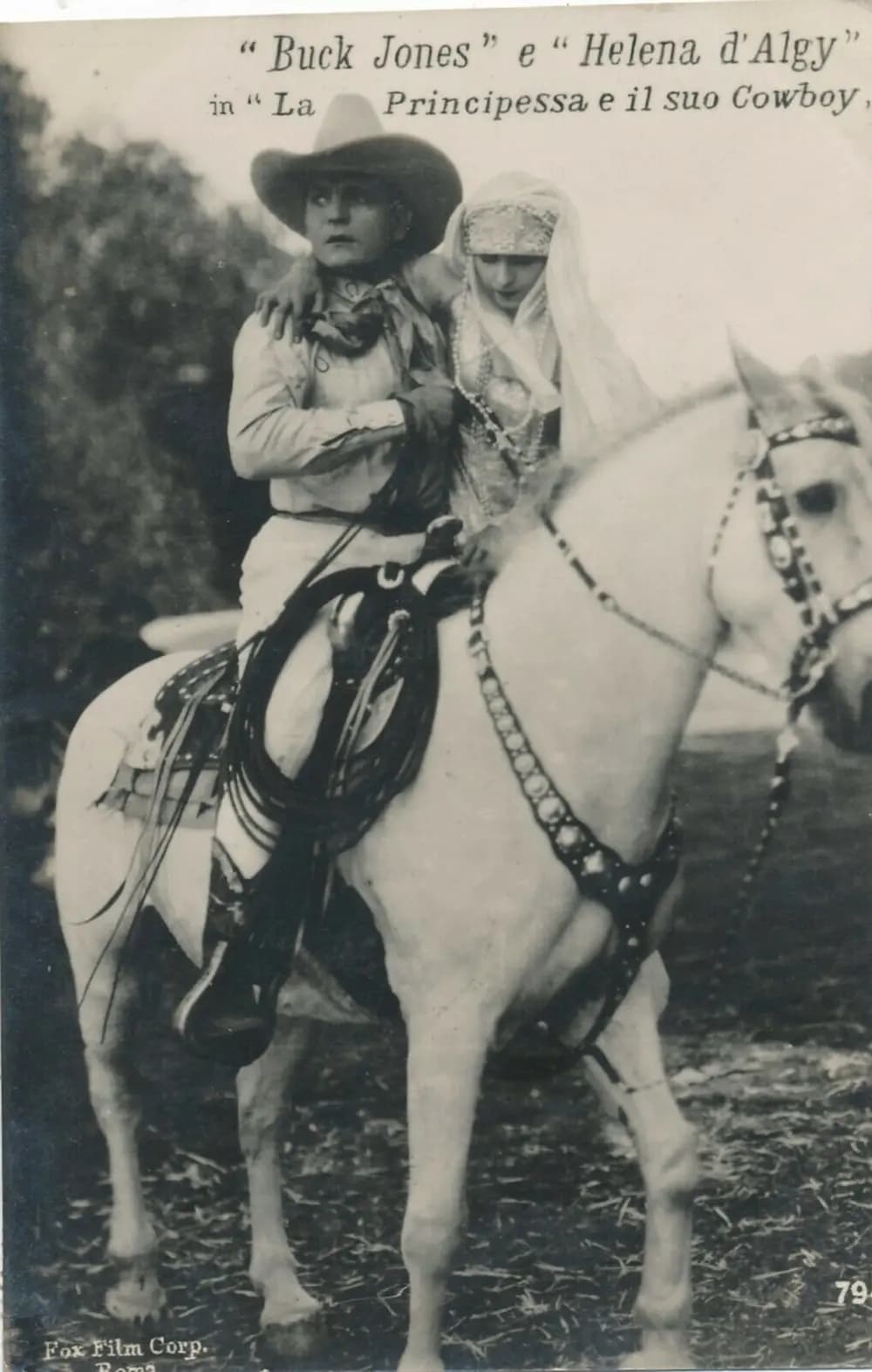 The Cowboy and the Countess