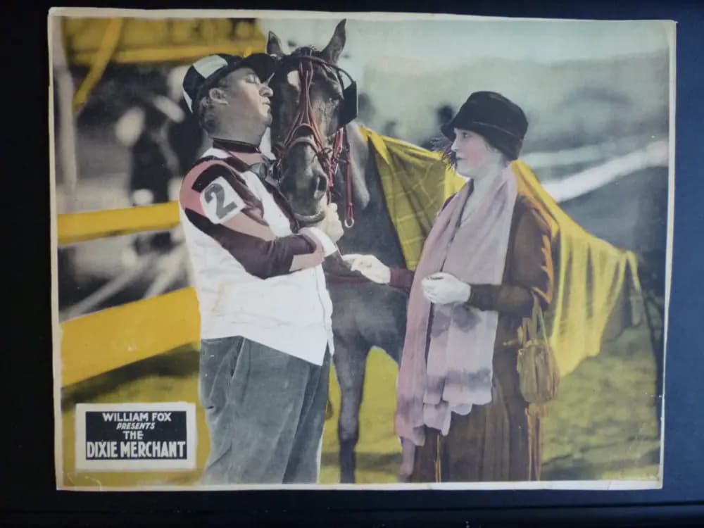 The Dixie Merchant