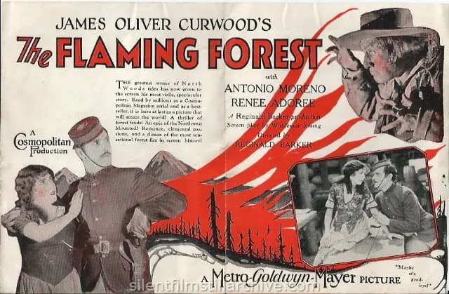 The Flaming Forest photo