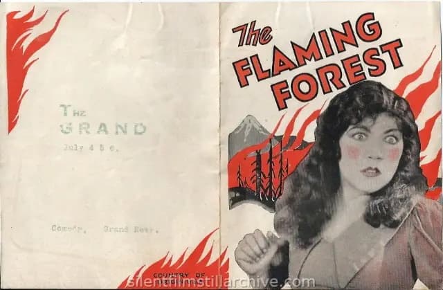 The Flaming Forest photo