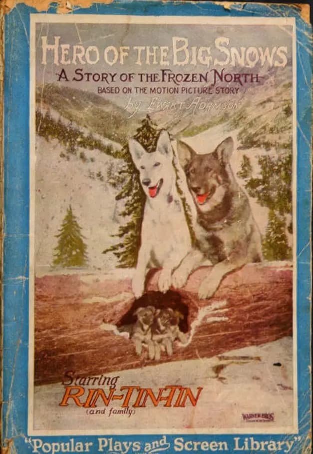 A Hero of the Big Snows photo