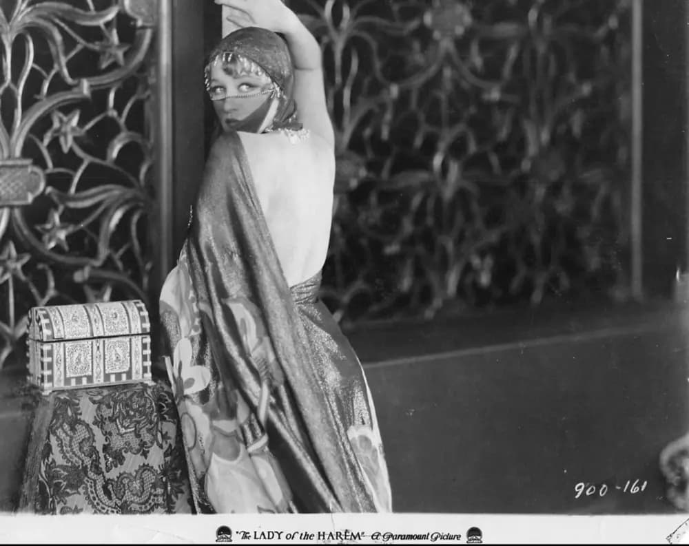 The Lady of the Harem photo
