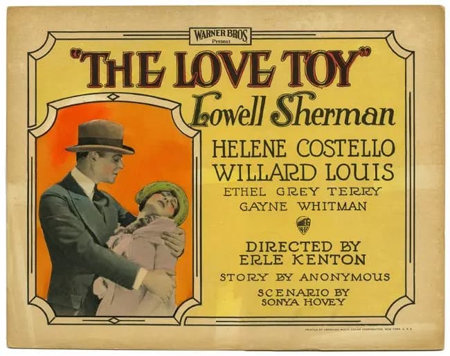 The Love Toy photo