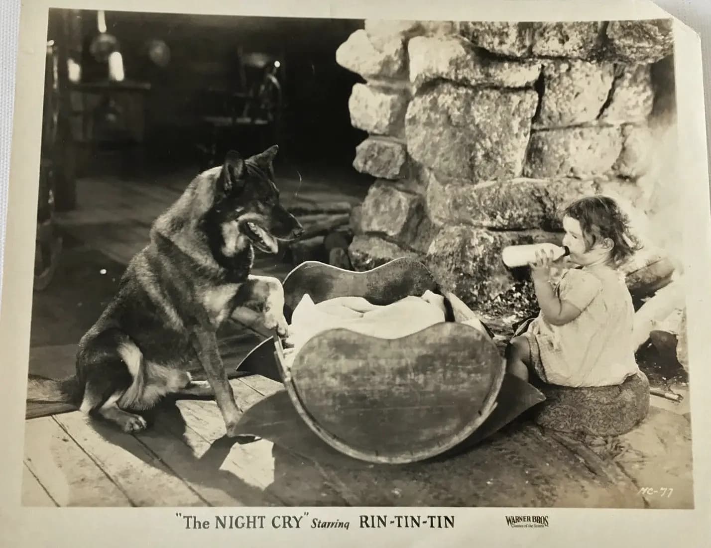 The Night Cry photo