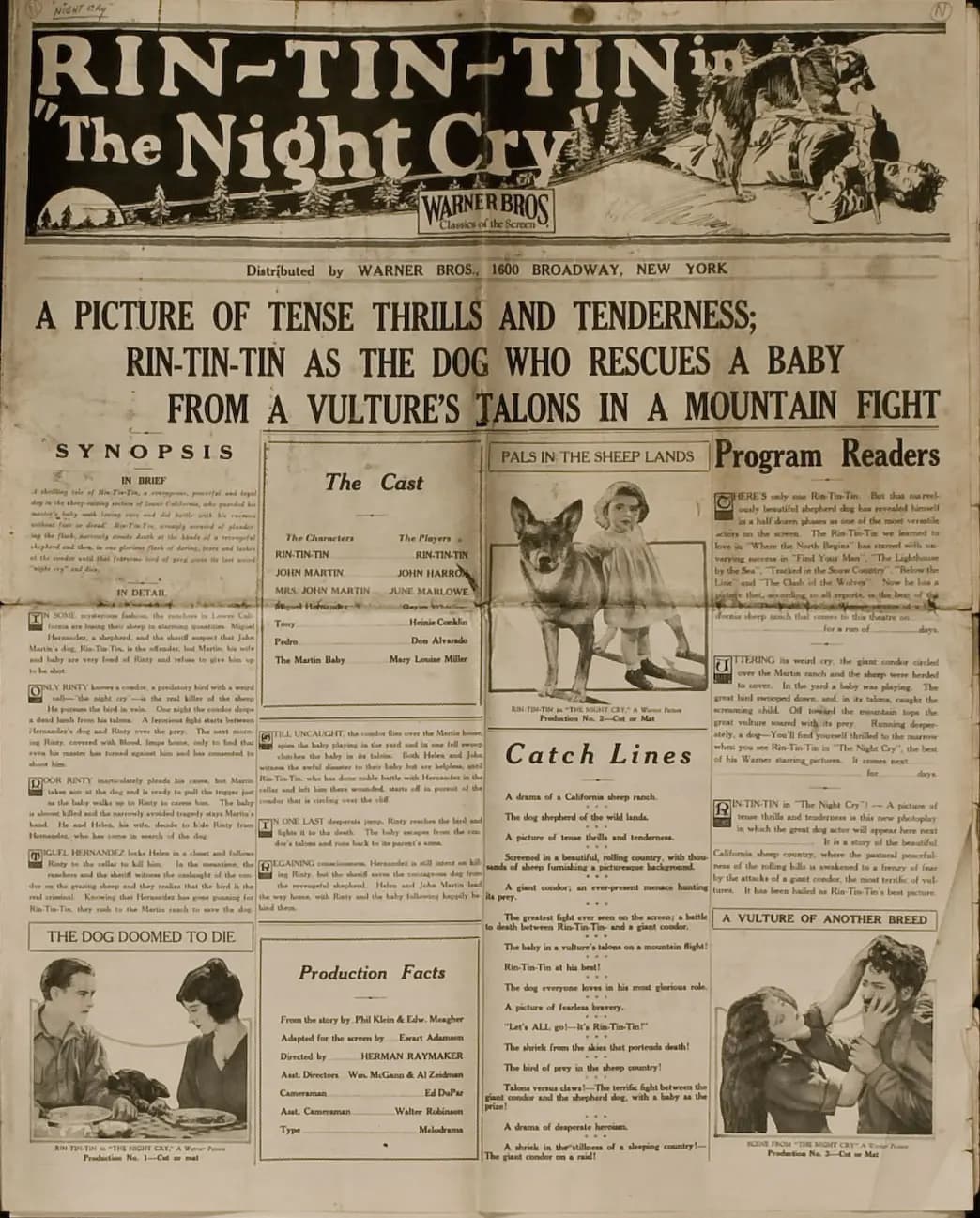 The Night Cry photo
