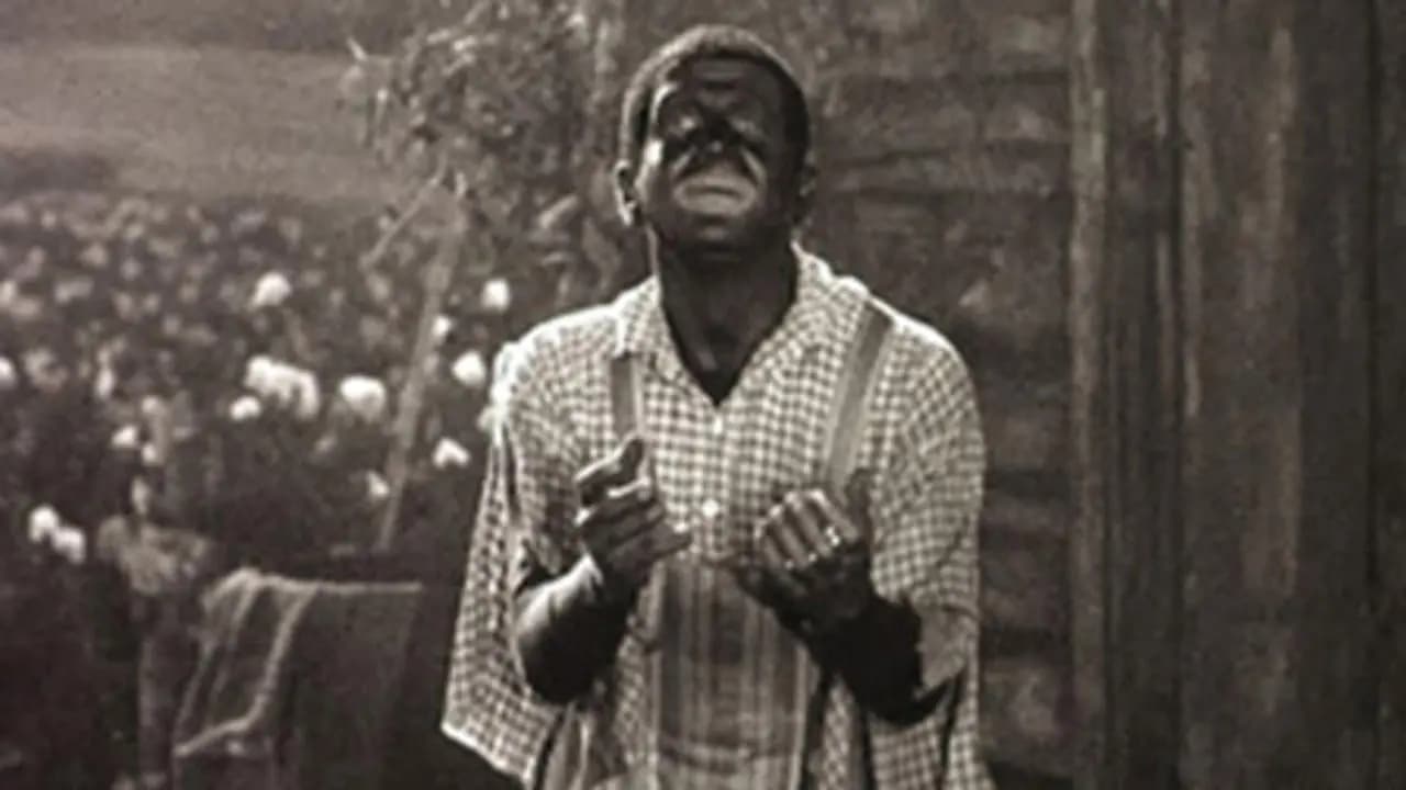 A Plantation Act photo