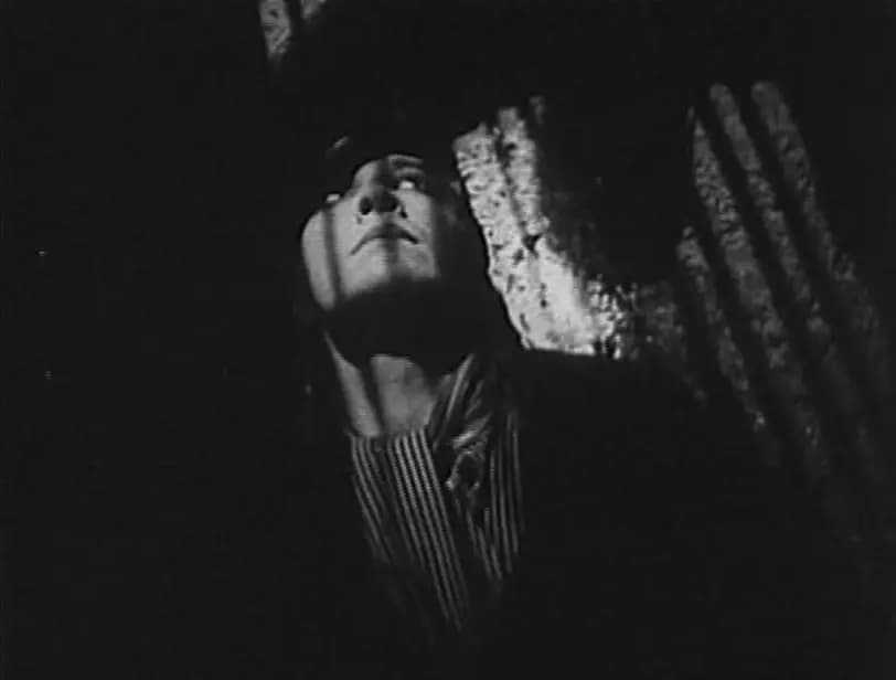 The Rat photo