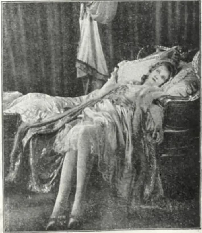 The Knight of the Rose photo