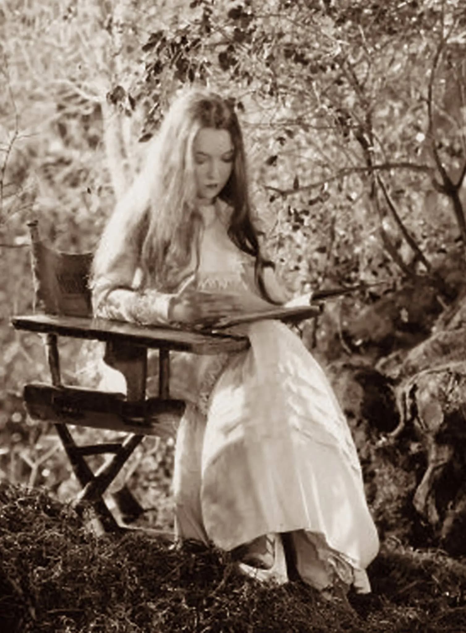 The Scarlet Letter photo