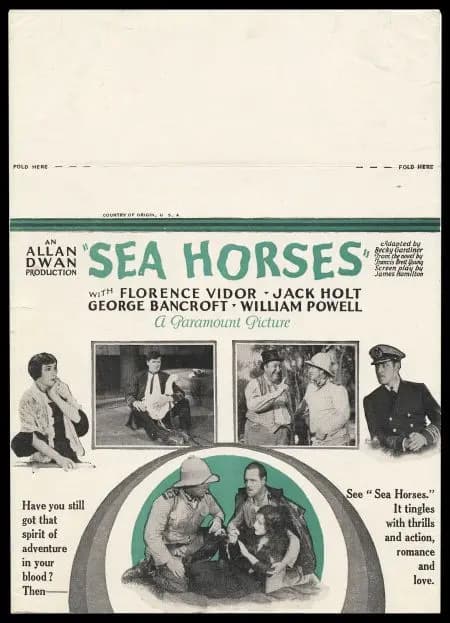 Sea Horses photo