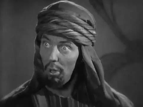 The Son of the Sheik photo