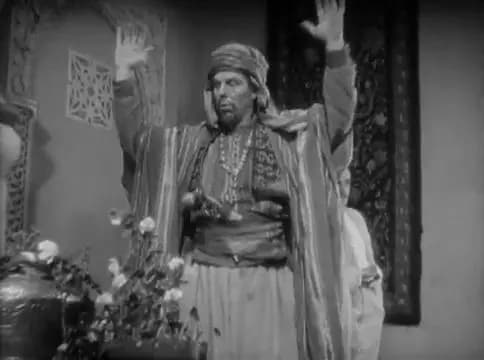 The Son of the Sheik photo