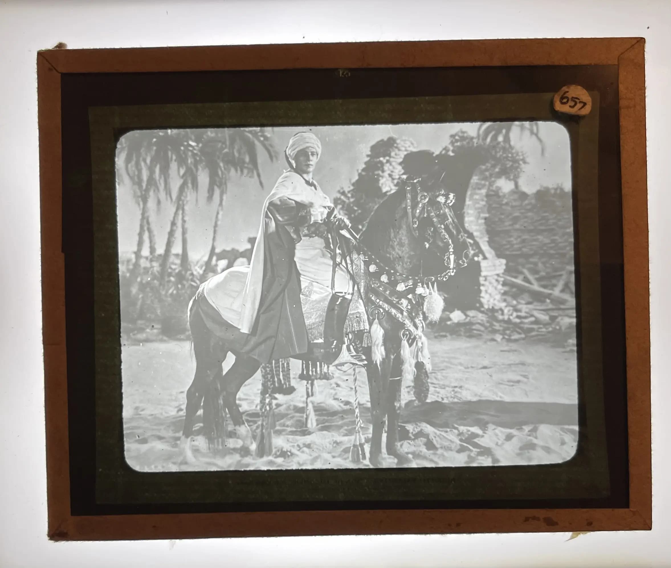 The Son of the Sheik photo