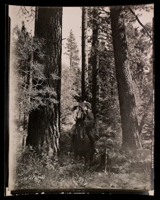 The Terror photo