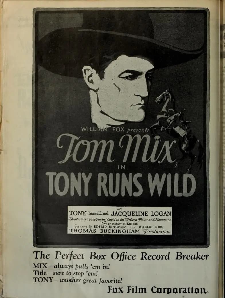 Tony Runs Wild photo