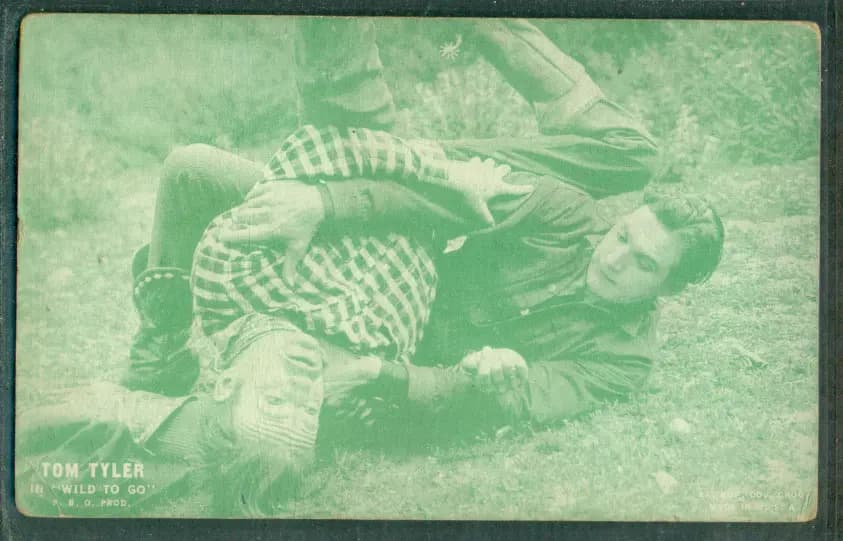 Wild to Go photo