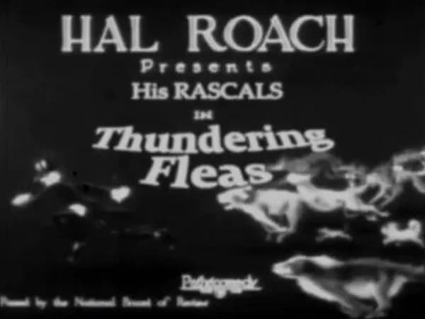 Thundering Fleas