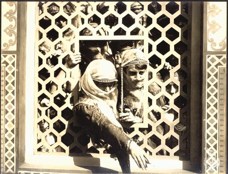 Maharadjahens yndlingshustru I photo