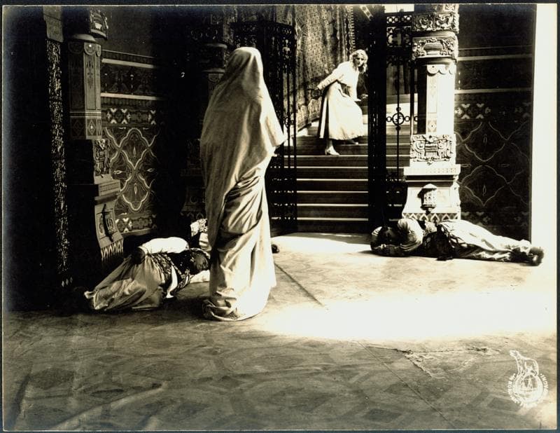 Maharadjahens yndlingshustru I photo