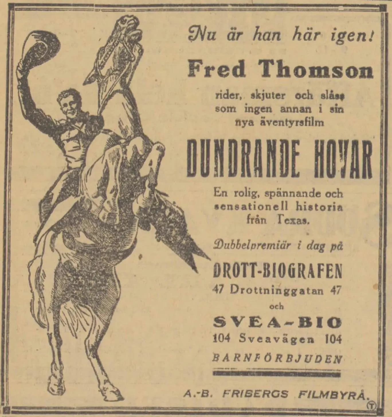 Thundering Hoofs photo