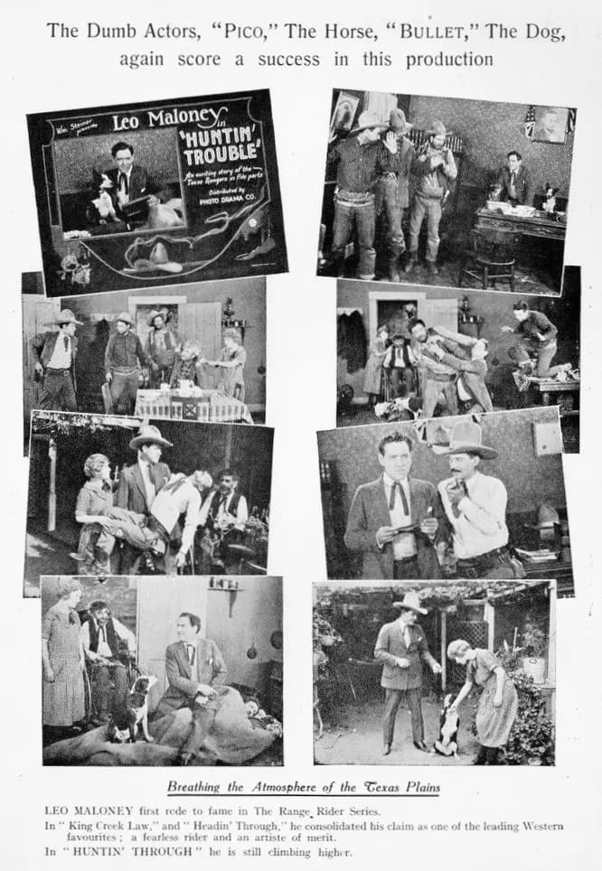 Huntin' Trouble photo