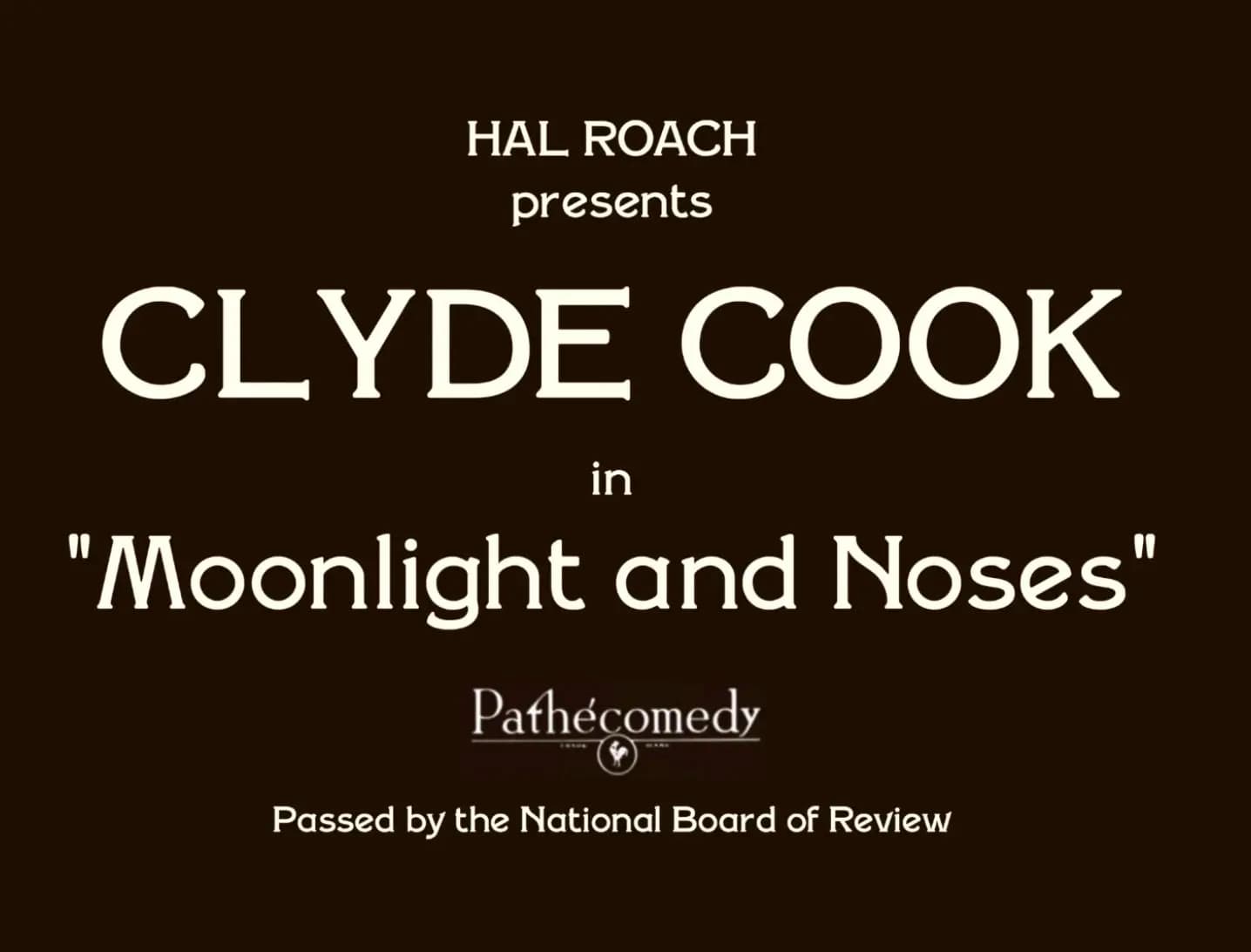 Moonlight and Noses photo
