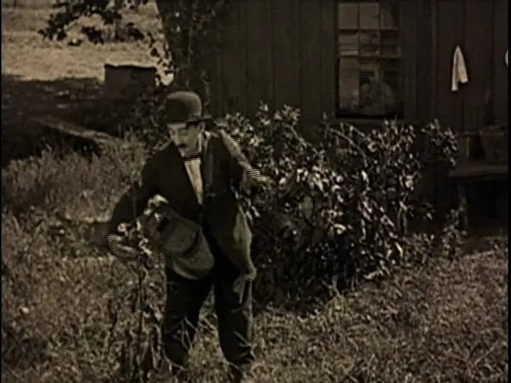 Wandering Papas photo