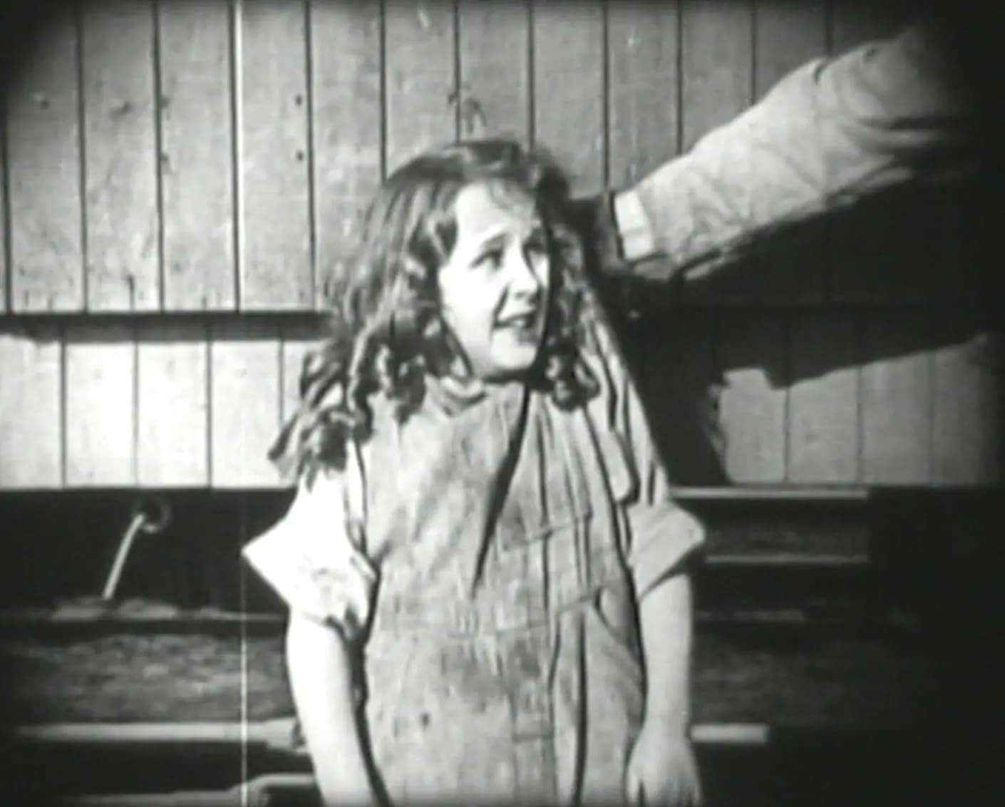 A Tray Full of Trouble