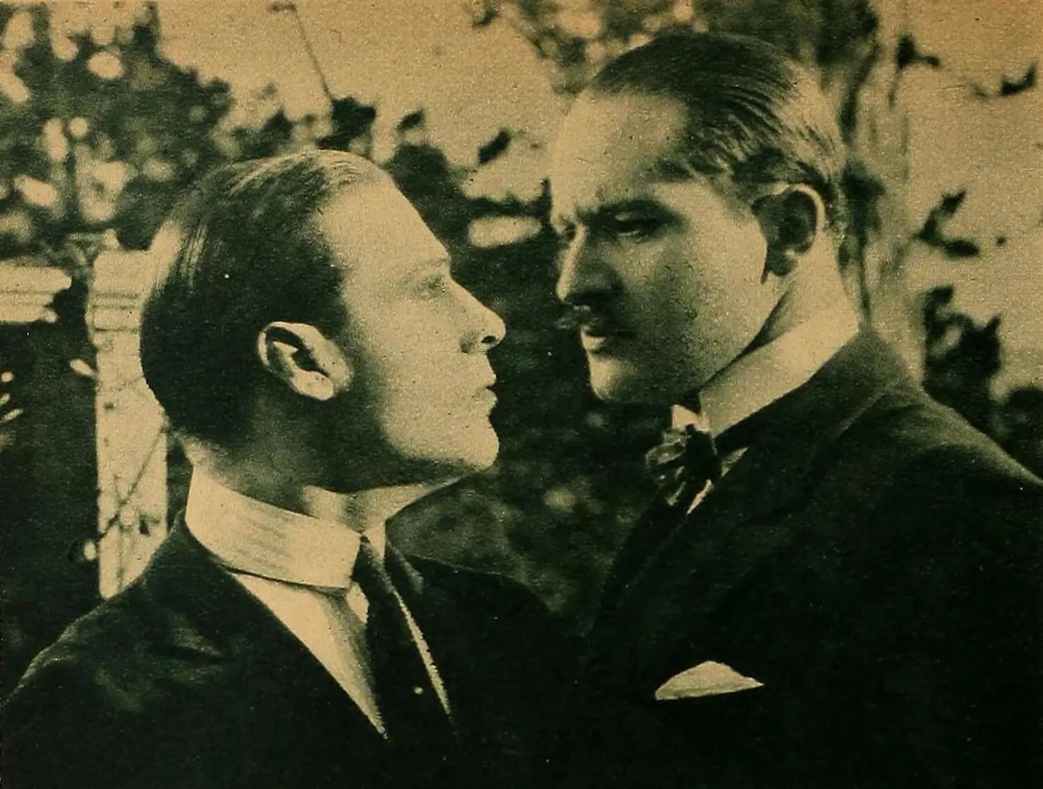 Passion's Playground