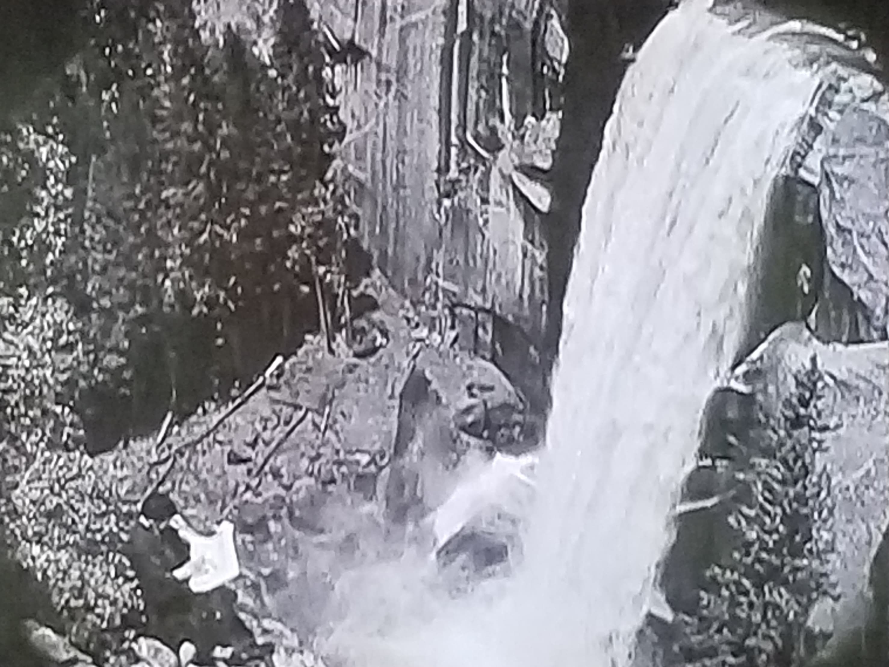 The Dragon Painter photo