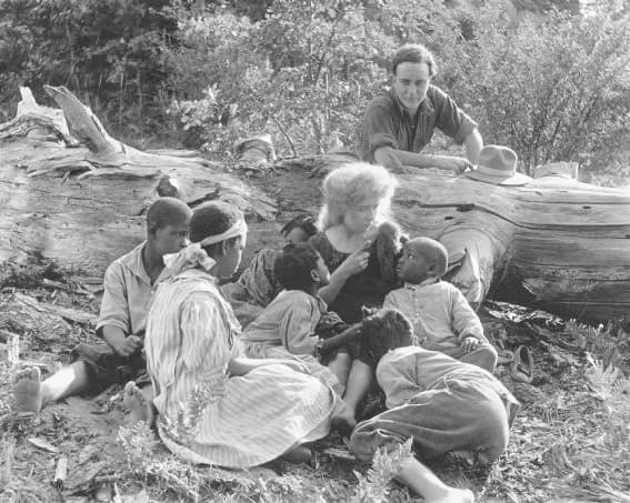 Bawbs O' Blue Ridge photo