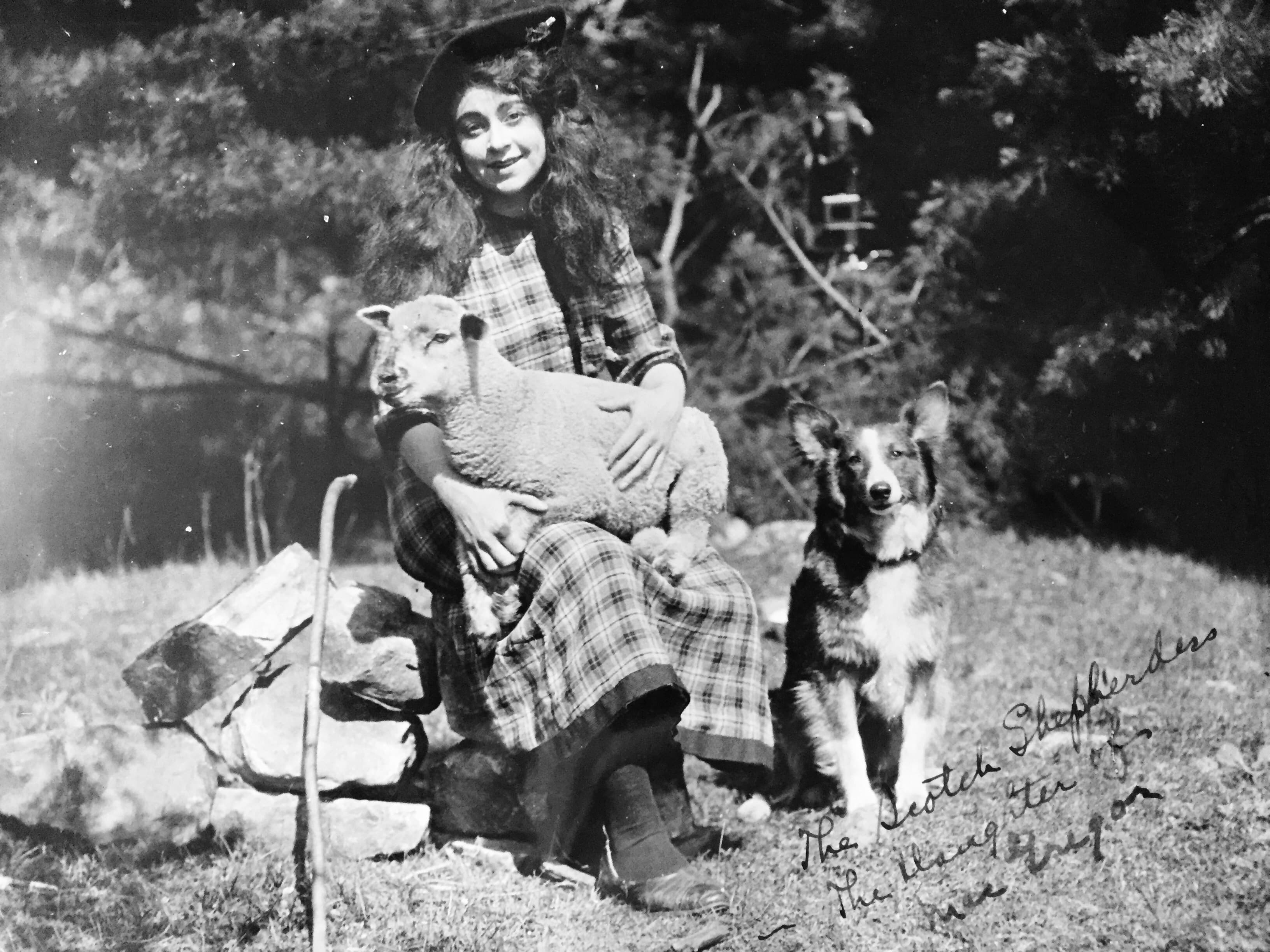 The Daughter of MacGregor