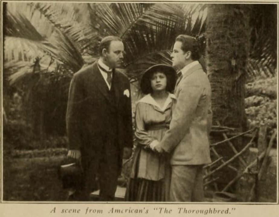 The Thoroughbred photo