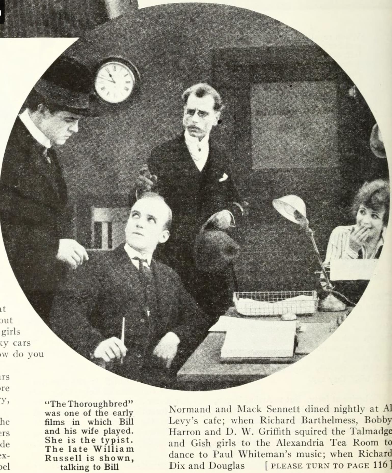 The Thoroughbred photo