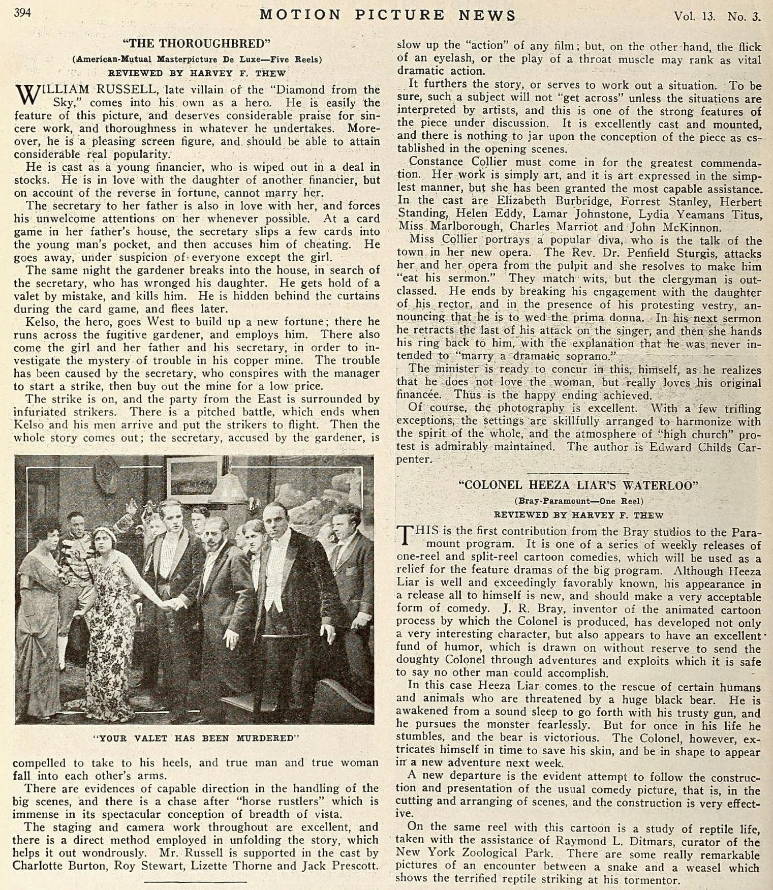 The Thoroughbred photo