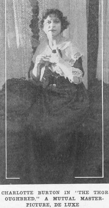 The Thoroughbred photo