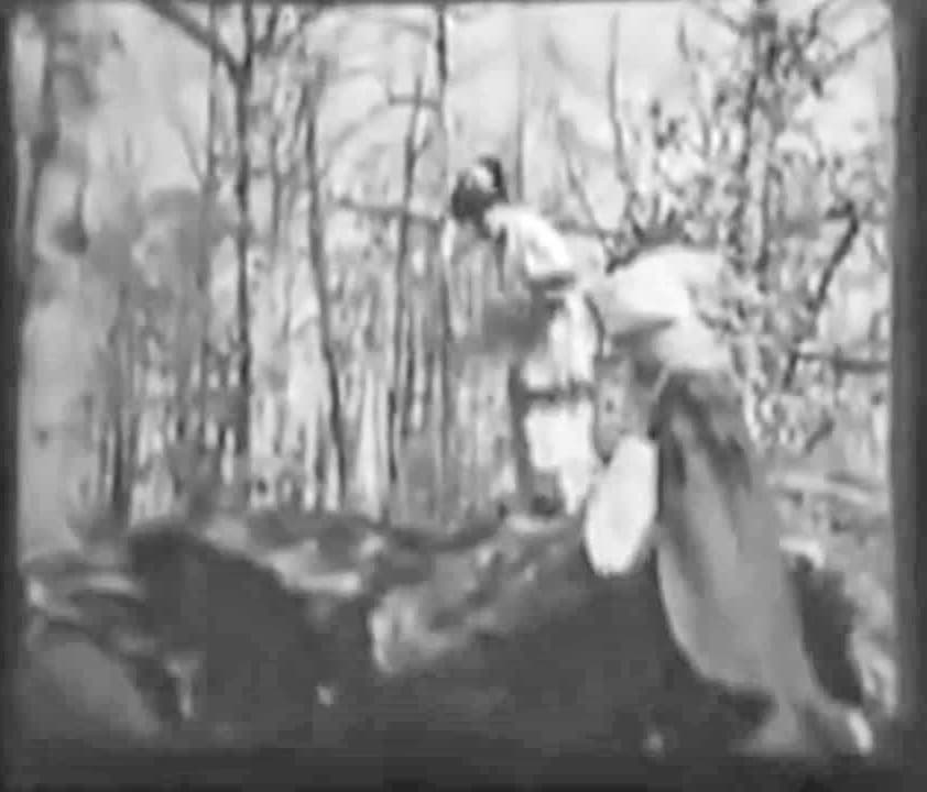 The Photo-Drama of Creation photo