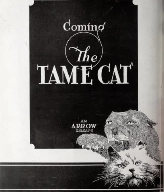 The Tame Cat