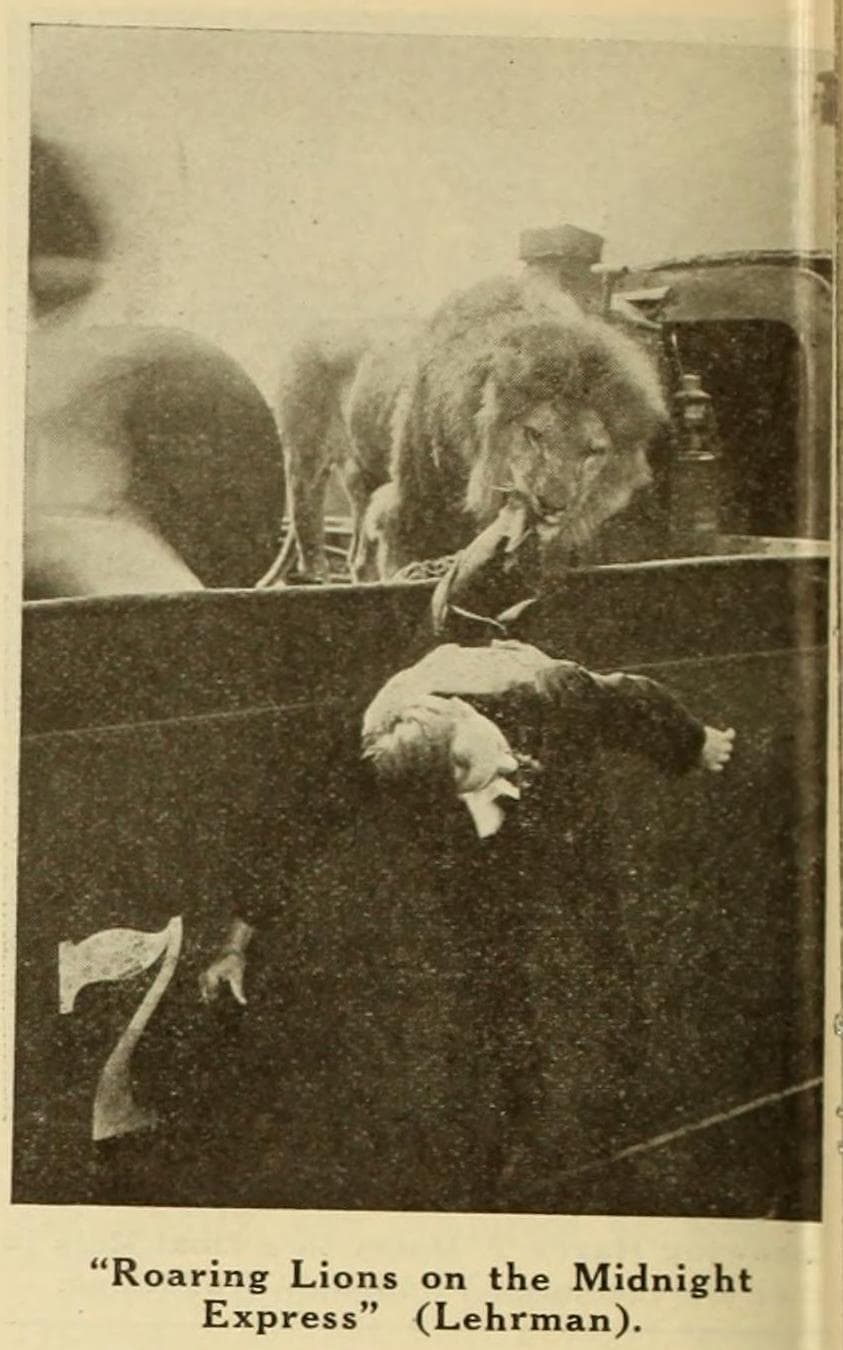 Roaring Lions on the Midnight Express