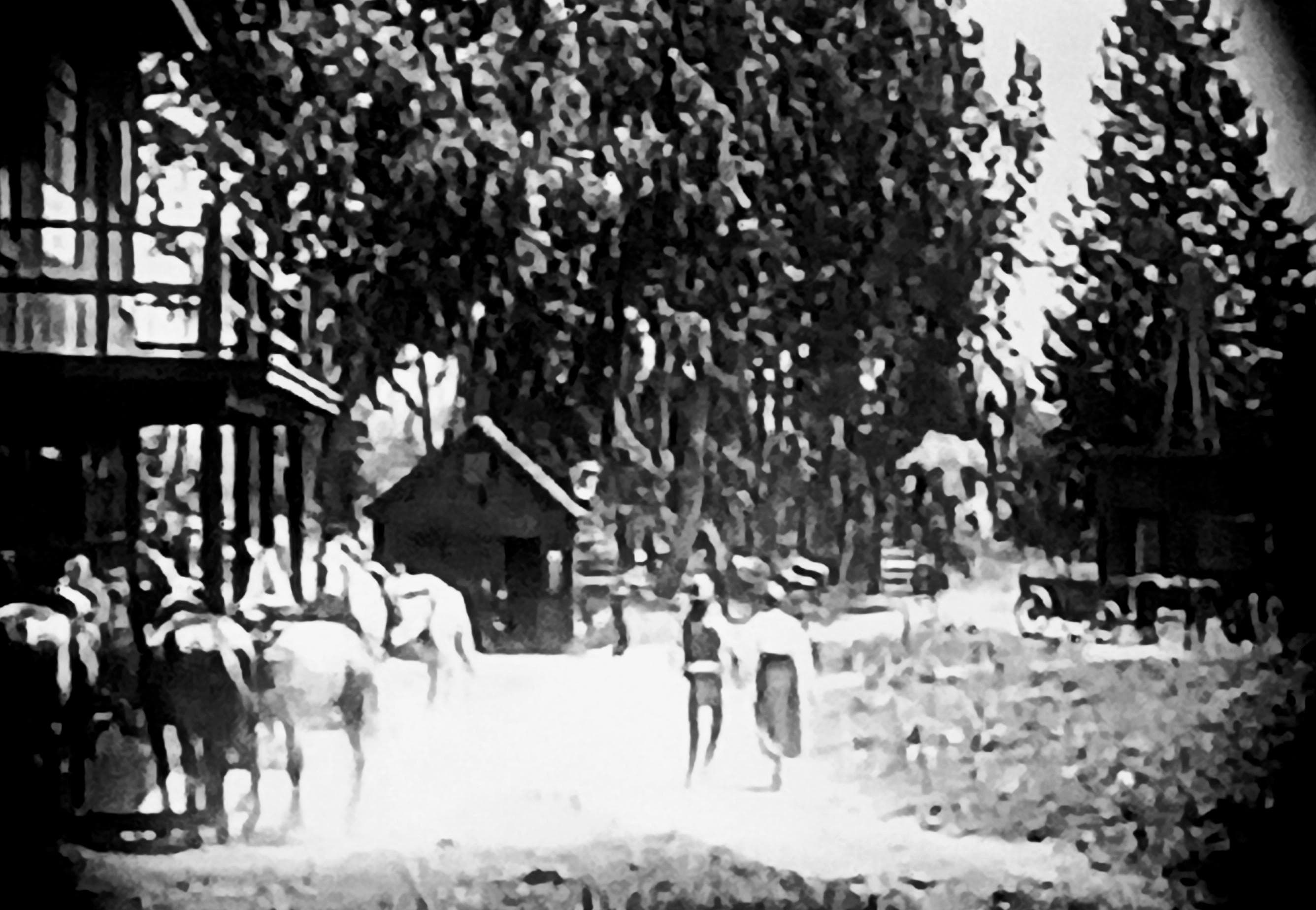 The Son-of-a-Gun photo