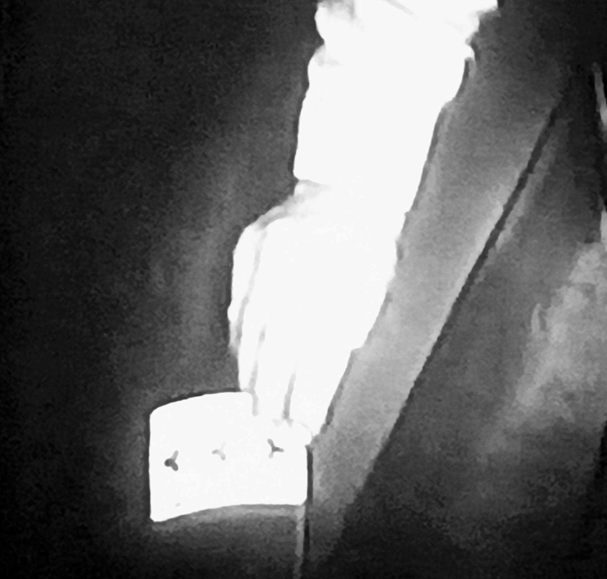 The Son-of-a-Gun photo