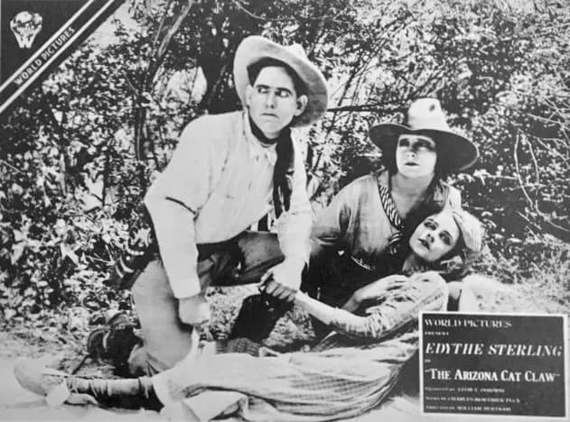 The Arizona Cat Claw