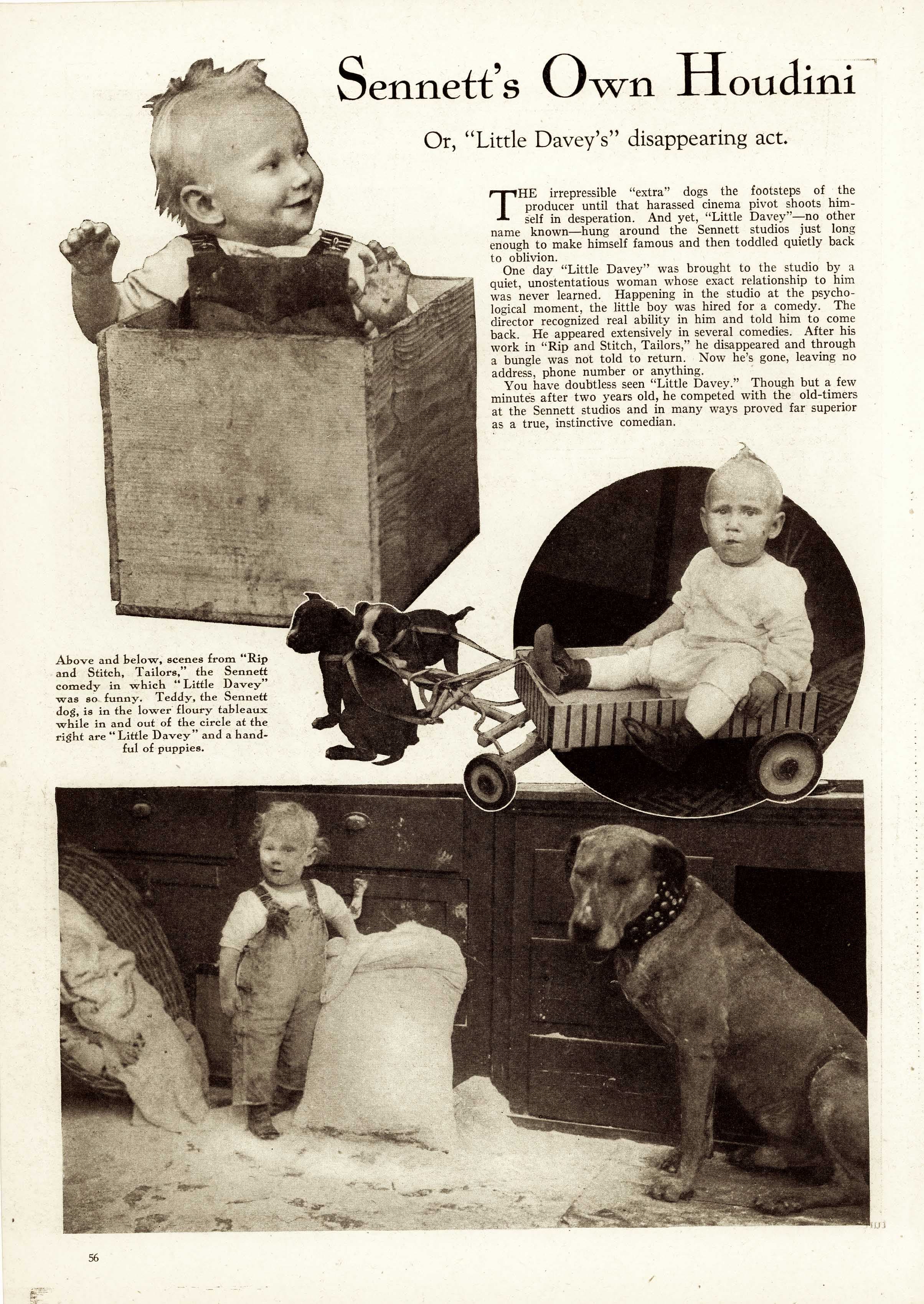 Rip & Stitch: Tailors