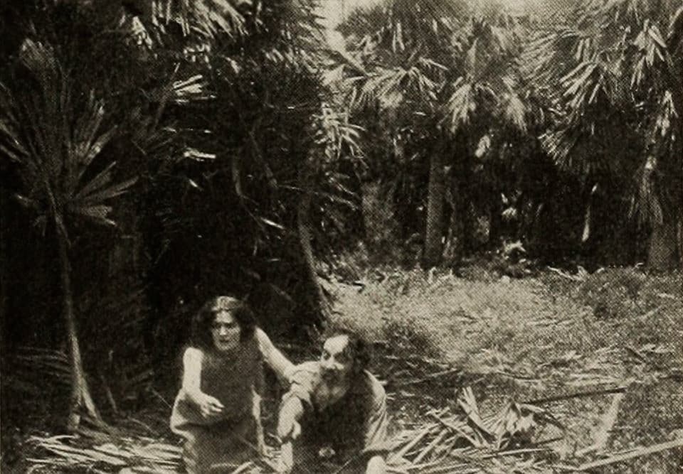 The Ticket-of-Leave Man photo