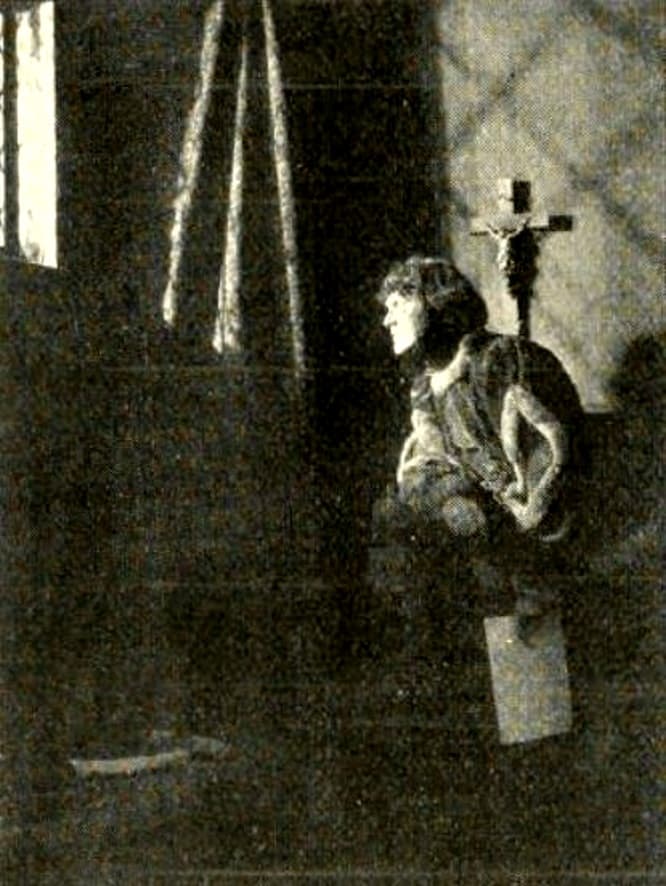 The Cloister and the Hearth photo