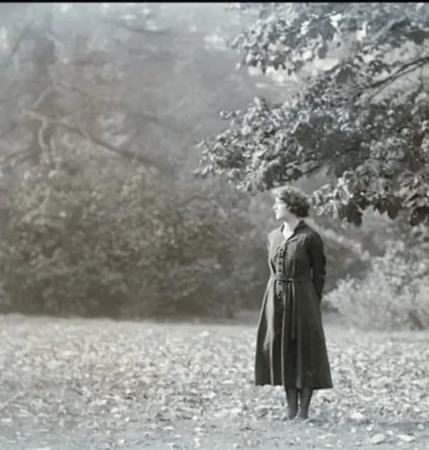Comin' Thro' the Rye photo