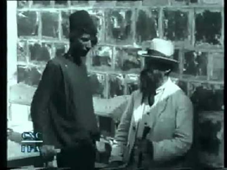 Life of the Jews of Palestine photo