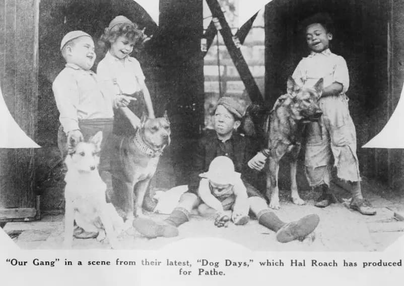 Dog Days photo